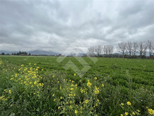Sitio Industrial En Venta En Llay Llay
