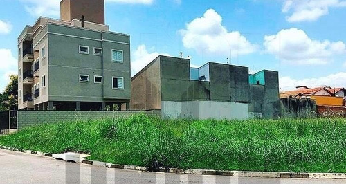 Imagem 3 de 5 de Terreno - Te00198 - 70337720