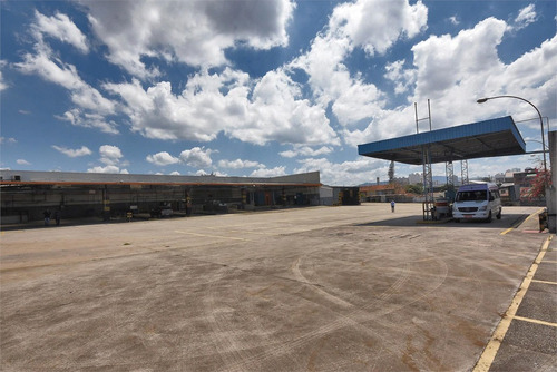 Imagem 5 de 22 de Comercial-são Paulo-lapa | Ref.: Reo459981 - Reo459981