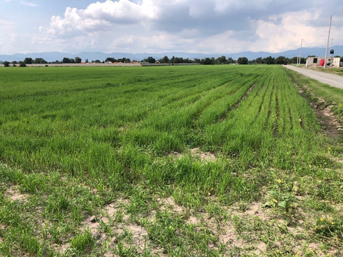 Imagen 5 de 8 de Venta Terreno De Inversión En Pachuca