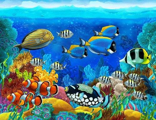 Imagem 1 de 2 de Adesivo Para Porcelanato Liquido Fundo Do Mar Varios Modelos