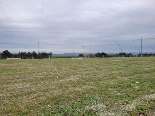 Terreno En Campos