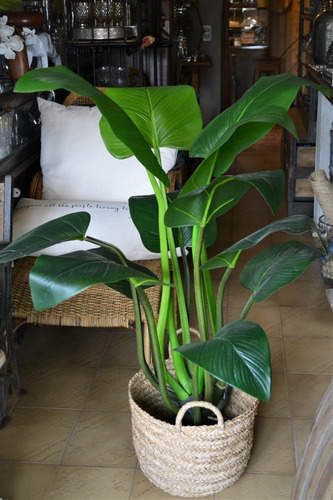 Planta Artificial Curcuma 120 Cm