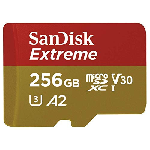 Memoria Micro Extreme Sdxc 256 Gb Adaptador Sd Para S10