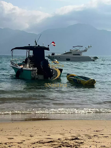 Fishing Wellcraft Top Fish Real Pesca Victare Dumar