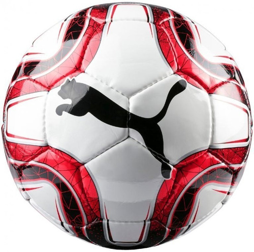 Pelota Futbol Puma Final 5  Hs Trainer N°5 082911-03 