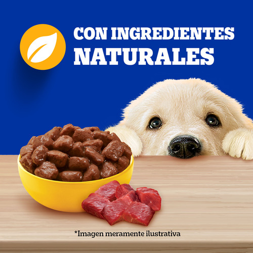 24 Sobres Pedigree Para Cachorros De Res En Filetes 100g C/u