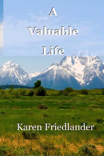 A Valuable Life, De Friedlander, Karen. Editorial Lightning Source Inc, Tapa Blanda En Inglés