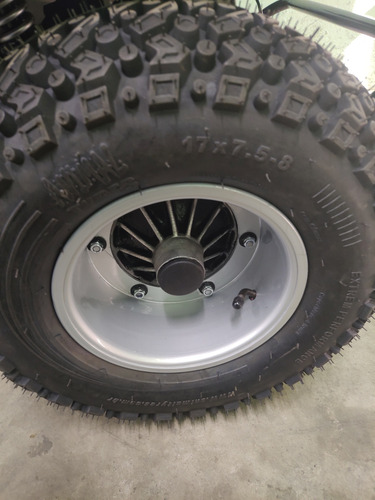 Míni Buggy Motor 4t Não Requer Mistura De Óleo Na Gasolina !