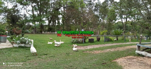 Imagem 13 de 15 de Chácara Excelente 13 Mil M² Em Caçapava - 1841