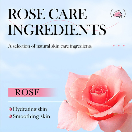 Limpiador Facial Limpiador Facial T Rose 0002