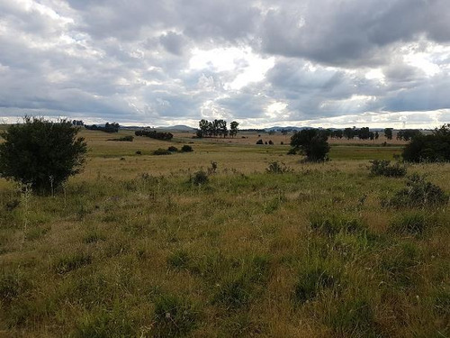 Campo En Mariscala - Lavalleja Ruta 8