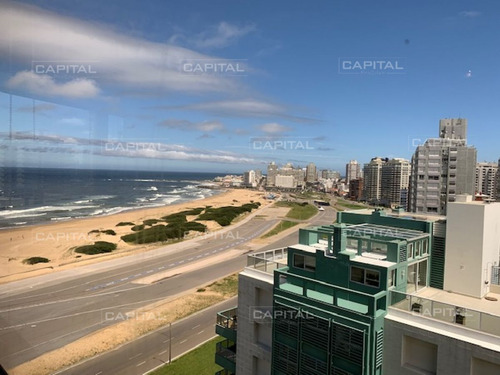 Imagen 4 de 30 de Alquiler Temporario De Hermoso Departamento Frente A Playa Brava - Punta Del Este Brava