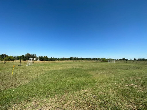 Imagen 15 de 17 de Casa Quinta Con Pileta En Chascomus