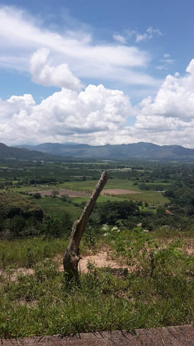 Imagen 2 de 14 de Terreno Nirgua Yaracuay 51 Hectáreas De Terreno
