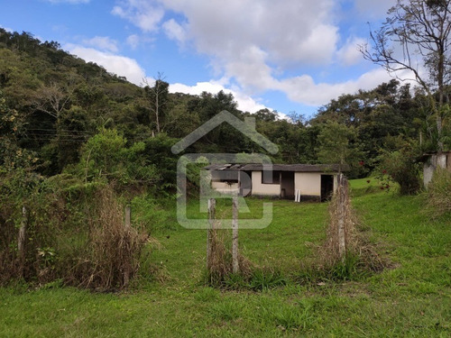 Imagem 28 de 30 de Excelente Sitio Com Topografia Plana, Rico Em Aguá - 12 - 69839868