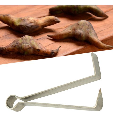 5 Clip Con Forma De Castaña De Agua, Desgranadora Manual De