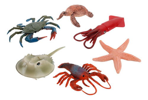Colección De Regalos De Cumpleaños De Marine Life Animal