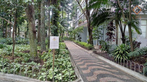 Imagem 21 de 21 de Apartamento Com 3 Dormitórios À Venda, 98 M² Por R$ 1.200.000,00 - Aclimação - São Paulo/sp - Ap57366