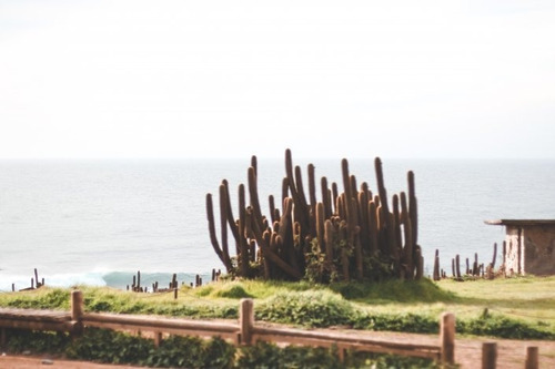 Mirador De Punta De Lobos