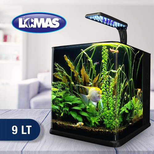 Imagen 6 de 9 de Pecera Equipada Chica D Vidrio Nano Acuario 9 Litros Luz Led