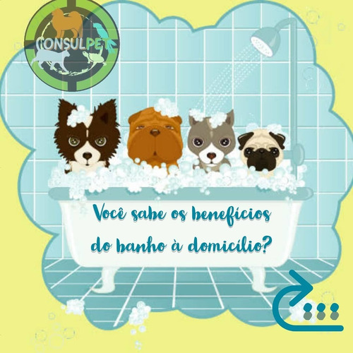 Imagem 1 de 1 de Banho Pet À Domicílio