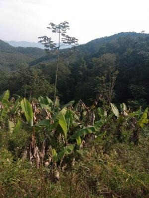 Imagem 4 de 12 de Sítio Com 242000 Metros De Área Total Em Itariri - 7269