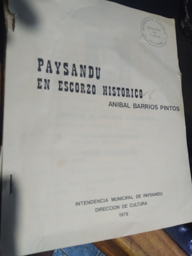 * Anibal Barrios Pintos - Paysandu En Escorzo Historico