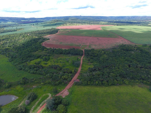 Fazenda Excelente À Venda