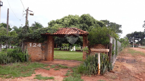 Imagem 15 de 19 de Excelente Chácara À Venda - 3841170v