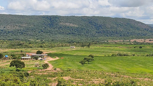 Imagem 1 de 20 de Fazenda Na Região De Rosário Oeste -mt