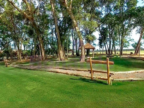 Imagem 24 de 28 de Terreno Industrial, W Park Condomínio Industrial, Mogi Mirim - Te08619 - 34837535