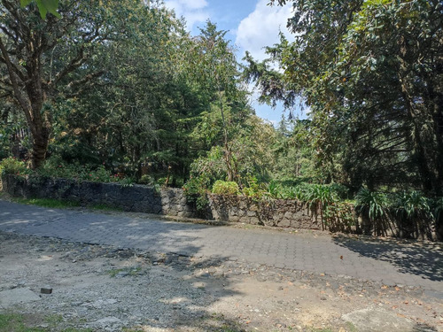 Terreno En Venta En Tlalpuente