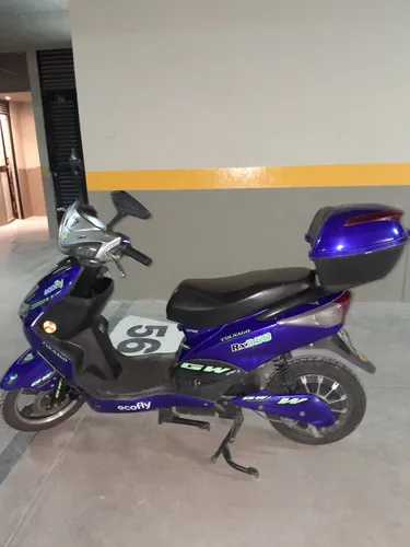 Ecofly Rx 2022