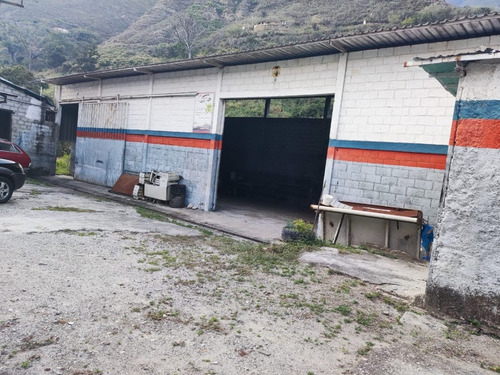 Imagen 22 de 28 de En Venta Galpón Y Terreno Ubicado En Ejido Sector Los Higuerones