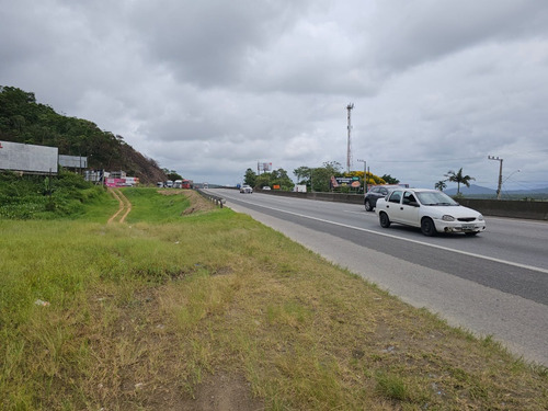 Vendo Excelente Area Na Br 101 Em Penha Santa Catarina