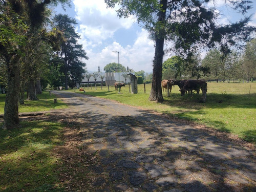 Terreno Campestre A La Venta En Frac. Manantial , Xalapa, Veracruz