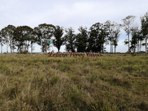 Venta De Chacra En Ruta 9, 5 Has- Ref: 19215