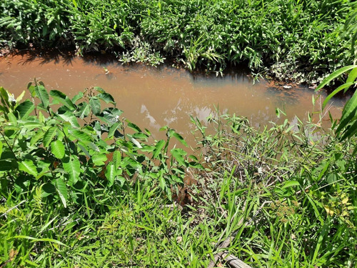 Imagem 22 de 28 de Fazenda 80 Alqueires Sendo 20 Alqueires Mata App, Casa Sede(em Reforma) E Caseiro Agua Nascente Riacho - Fa00019 - 69584449