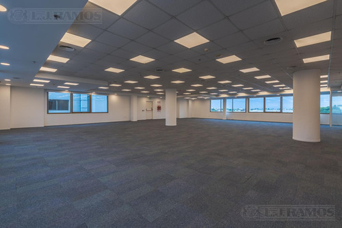 Alquiler De Oficina De 780 M2 En Corredor Panamericana
