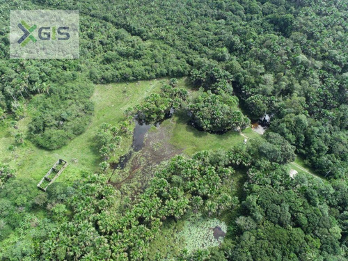 Imagem 1 de 14 de Fazenda À Venda, 2.019,2237 Ha Por R$ 1.600.000 - Br-308 - Mirinzal/ma - Fa0014