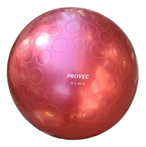 Imagen 2 de 6 de Pelota Pilates 65 Cm Yoga Para Esferodinamia Gym Nacional
