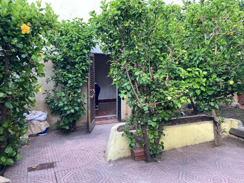 Imagen 20 de 21 de Venta Galpon/local/jardin, Villa Bllester 196 M2