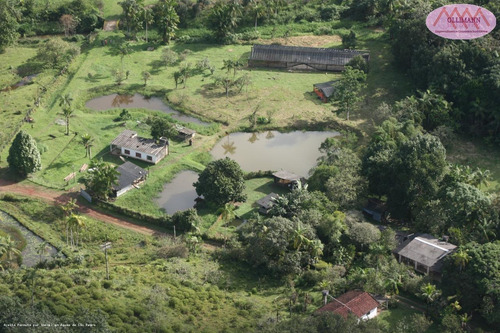 Imagem 3 de 15 de Sítio / Chácara Para Venda Em Peruíbe, Plantação Com Certificação Orgânica Para O Brasil E Para A Europa., 1 Dormitório, 1 Suíte, 3 Banheiros, 4 Vagas - 0834_2021_2-1217732