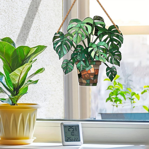 Letrero De Adorno Colgante De Planta En Maceta Verde Plano