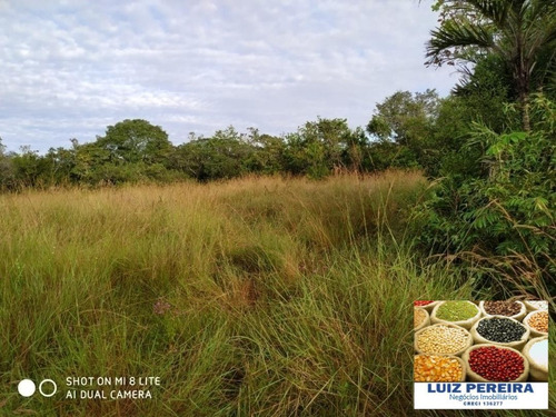 Imagem 5 de 15 de Fazenda Em Divinópolis - To - 136 Alqueirões (pecuária) - 1382