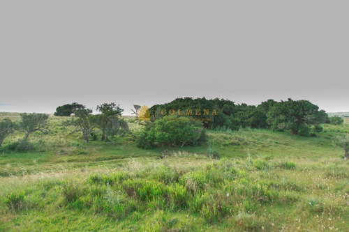 Campo De 86 Has Ganadero, Cuenta Con Tajamar Y Costa De Arroyo. Consulte!!!!!!- Ref: 2366