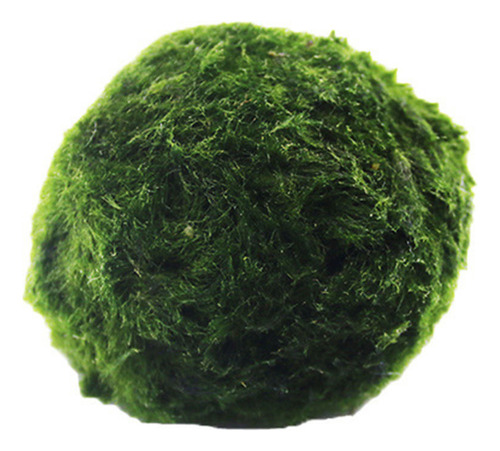 Decoração: Bolas De Algas Marinhas, Garrafas, Bolas De Algas
