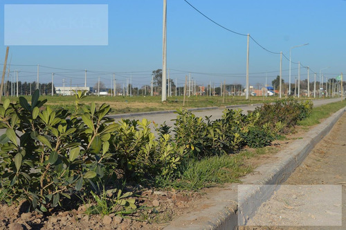 Imagen 9 de 17 de Ecopueblo - 300 M2 Avenida
