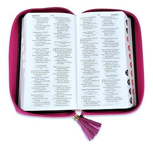 Biblia Rv1960 Chequera Compacta Fucsia Gris Mujer C/ Indice